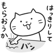 Nonsense cat