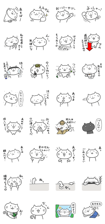 Nonsense cat