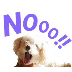 Cocoa_20210322143032