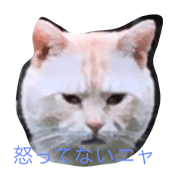 Danchi Cats
