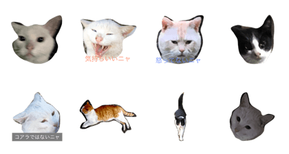 Danchi Cats