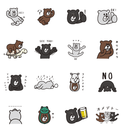 coen bear