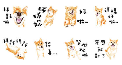 Shiba Inu Say Please
