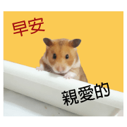only bear-2