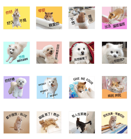 only bear-2