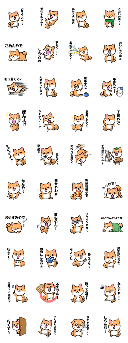 Shiba Inu from Osaka dialect
