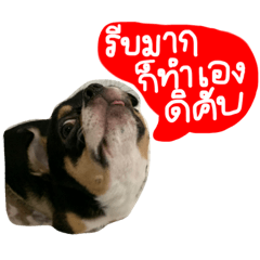 Toongtong the salary man ver.1 – LINE stickers | LINE STORE