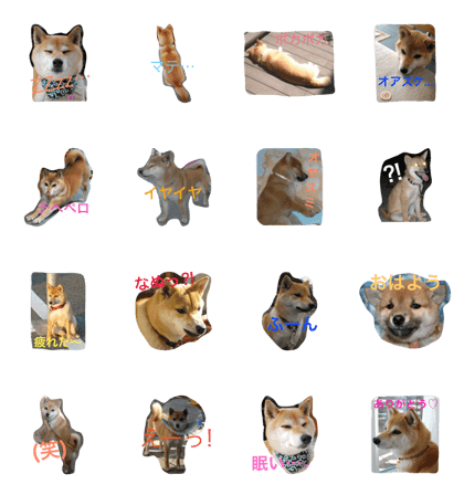 JapaneseDog HANA2