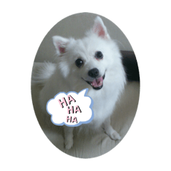 Cherry_20210322161612