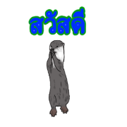 Animal789
