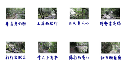beautiful pictures:action