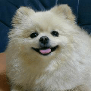 mofumofupurinlove