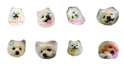 mofumofupurinlove