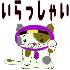 かわいい忍者 猫影 Line スタンプ Line Store