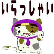 Cute ninja cat shadow