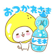 Lemon cat squash 4