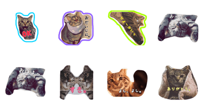 tabby.riki