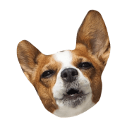 HANA-SUKE