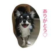 kinako&anko&tono