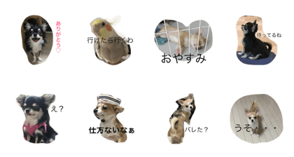 kinako&anko&tono