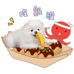 Edy的寶寶