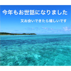 沖縄の風景絵葉書と水中生物の日常会話です