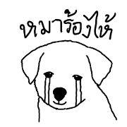 Dog Don't Cry