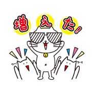 Investment cat