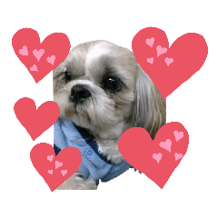 suzu_20210322204048