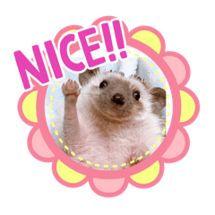 エクレアちゃんと仲間達