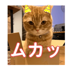 saya_20210322215036