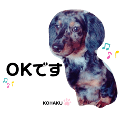 kazuki_20210322230301