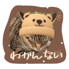 Yun_20210322233607
