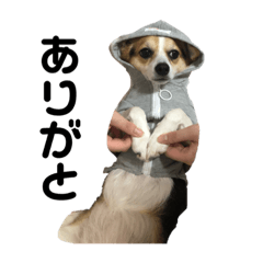 chibi_20210323004013