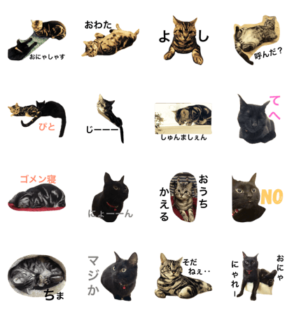 Chibo & Kyu vol,2