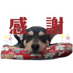 riho_20210323040424