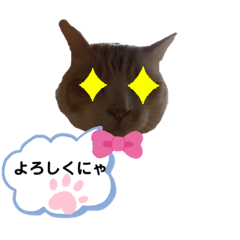 うちのあいつは今日も寝る