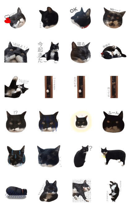 KIROKU sticker