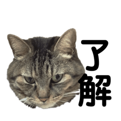 mizuki_20210322214418