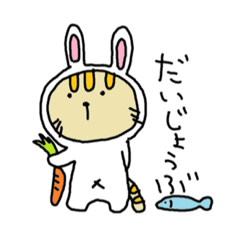 cat in rabbit