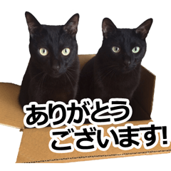 Black cat MEGURO and MOGURO
