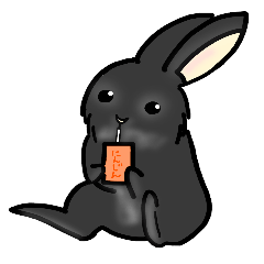 Monaka 2 (a black rabbit)