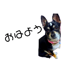 Kchan_20210323022742