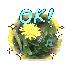 michiko_20210323074326