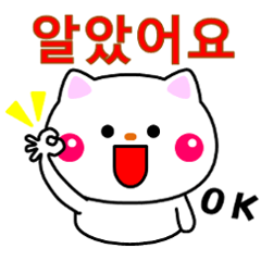 白ネコからのメッセージ(韓国語)