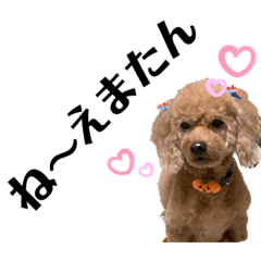 犬とおじさんのハーフ Line スタンプ Line Store 犬とおじさんのハーフ Line スタンプ Line Store