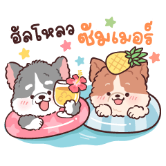 KOKO & SAIKOK THE DOG : HELLO SUMMER