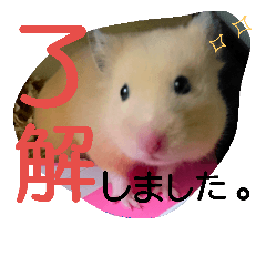 Kinka hamster's feelings stamp 3