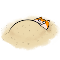 KUSOHAMU (SUMMER)
