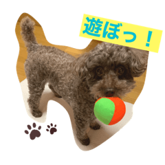 yuka_20210323021846